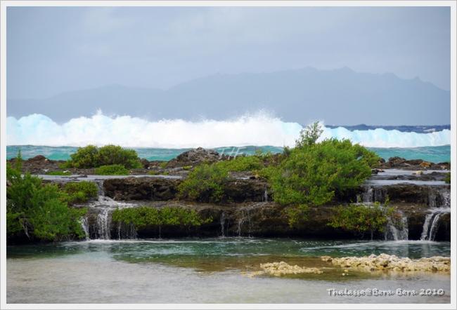 Thalasso091.JPG